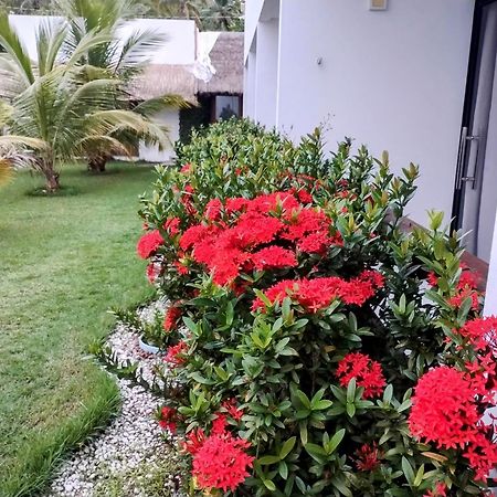 Mar Turquesa Eco Pousada Maragogi Zewnętrze zdjęcie